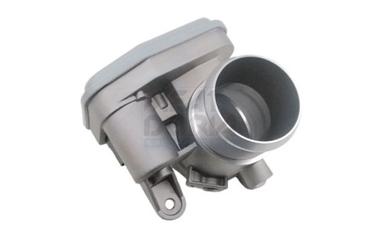 Throttle body