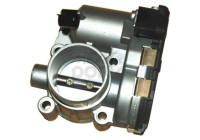 Throttle body