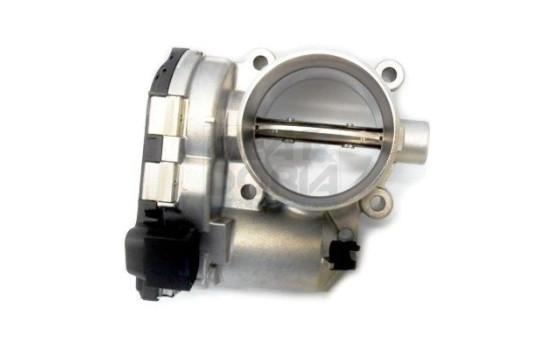 Throttle body