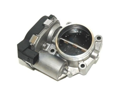 Throttle body