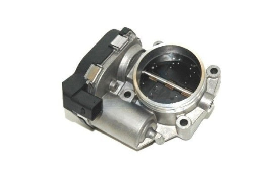 Throttle body