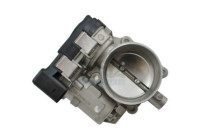 Throttle body