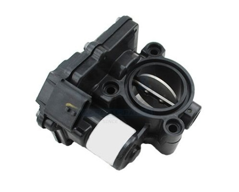 Throttle body