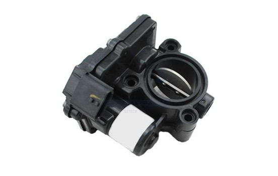 Throttle body
