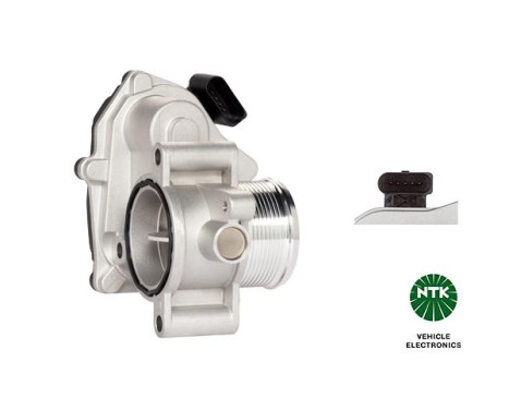 Throttle body