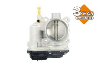 Throttle body
