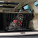 Jaula plegable inclinada para perros - Pequeña - 61 x 47 x 43 cm, Miniatura 5