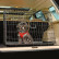 Jaula plegable inclinada para perros - Mediana - 76 x 56 x 54 cm, Miniatura 4