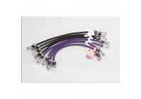 Correa de equipaje TCP 2x250 mm