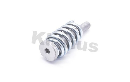 Bolt, exhaust system