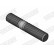 Bolt, exhaust system