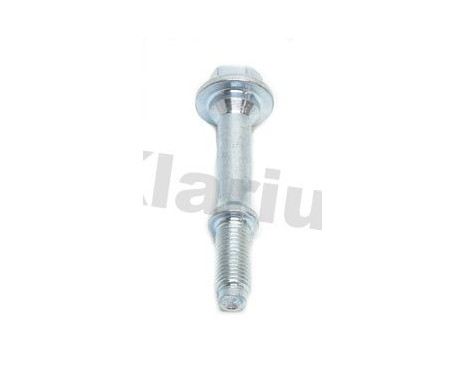 Bolt, Image 2