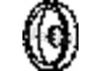 Exhaust flange clamp PSA