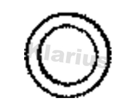 Exhaust gasket, Image 2