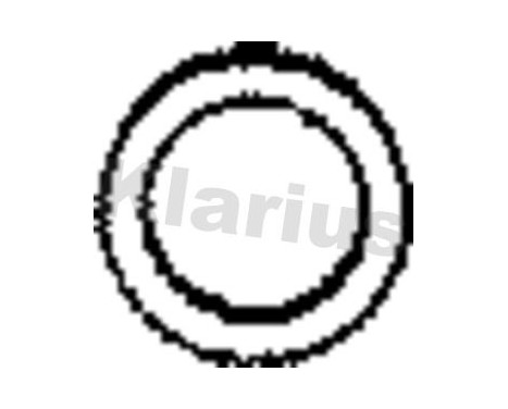 Exhaust gasket