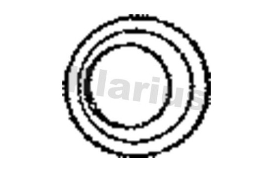 Exhaust gasket, Image 2