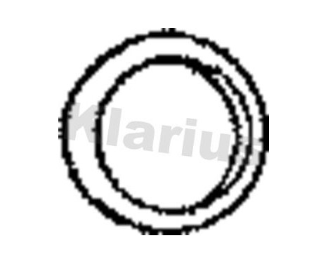 Exhaust gasket, Image 2