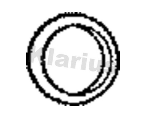 Exhaust gasket