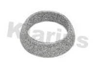 Exhaust gasket