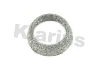 Exhaust gasket