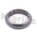 Exhaust gasket