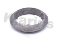 Exhaust gasket