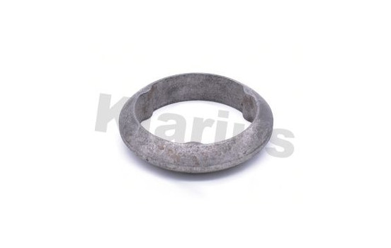 Exhaust gasket
