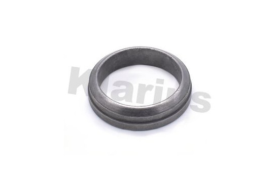 Exhaust gasket