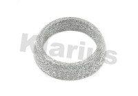 Exhaust gasket