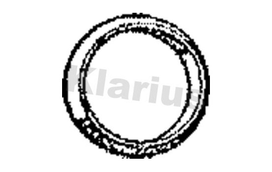 Exhaust gasket, Image 2