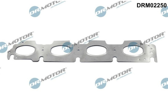 Gasket, exhaust bend