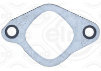 Gasket, exhaust elbow