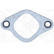 Gasket, exhaust elbow