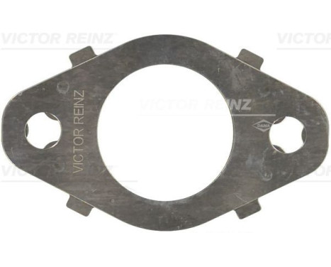 Gasket, exhaust elbow