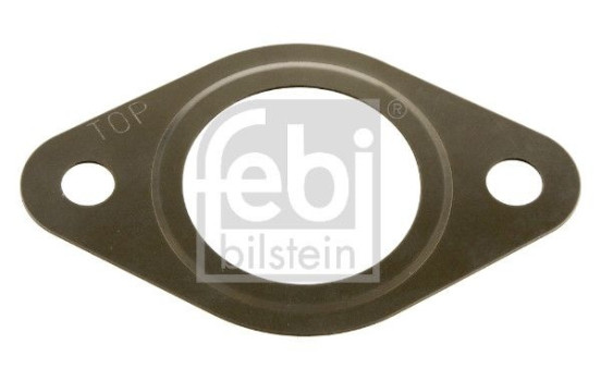 Gasket, exhaust elbow