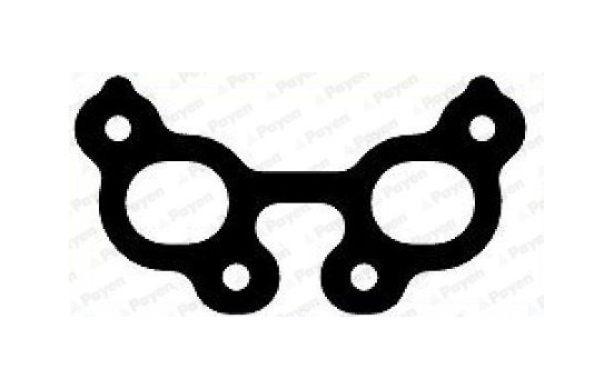 Gasket, exhaust manifold