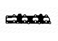 Gasket, exhaust manifold
