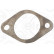 Gasket, exhaust manifold