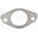 Gasket, exhaust manifold