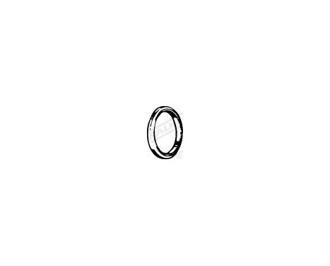 Gasket, exhaust pipe, Image 2