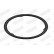 Gasket, exhaust pipe, Thumbnail 3