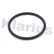 Gasket, exhaust pipe, Thumbnail 2