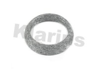 Gasket, exhaust pipe