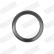 Gasket, exhaust pipe, Thumbnail 10