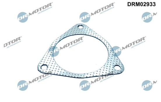 Gasket, exhaust pipe