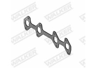 Gasket, exhaust pipe