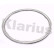 Gasket, exhaust pipe, Thumbnail 2