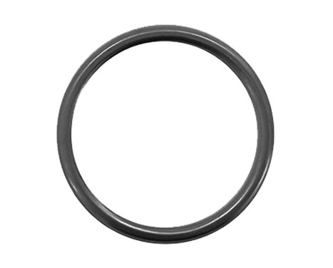 Gasket, exhaust pipe, Image 6