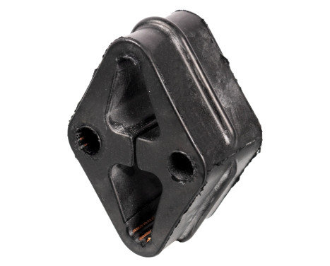 Holder, exhaust system