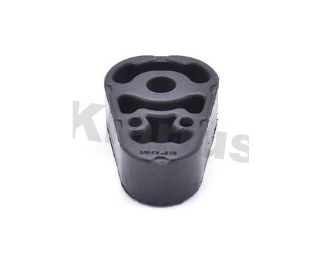 Holder, exhaust system